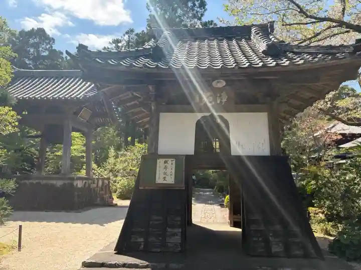 龍潭寺の{uncategorized: "未分類", other: "その他", undefined: "問題あり", building: "その他建物", grave: "お墓", sacred_gate: "鳥居", guardian: "狛犬", statue: "像", buddha: "仏像", history: "歴史", nature: "自然", garden: "庭園", animal: "動物", pagoda: "塔", temizu: "手水舎", mountain_gate: "山門・神門", sanctuary: "本殿・本堂", subordinate: "末社・摂社", art: "芸術", scenery: "景色", jizo: "地蔵", ema: "絵馬", goshuin: "御朱印", omikuji: "おみくじ", items: "授与品その他", amulet: "お守り", goshuincho: "御朱印帳", eats: "食事", festival: "お祭り", votive_dance: "神楽", shichigosan: "七五三参", wedding: "結婚式", experience: "体験その他", initially: "初詣", around: "周辺", anti_infection: "感染症対策"}