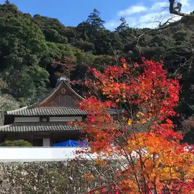 瀧安寺の本殿・本堂