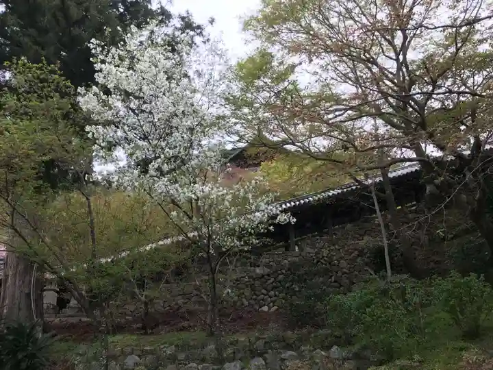 長谷寺のその他建物
