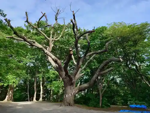 相馬神社(北海道)
