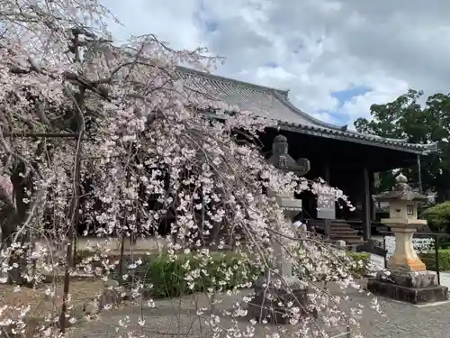 道成寺の庭園