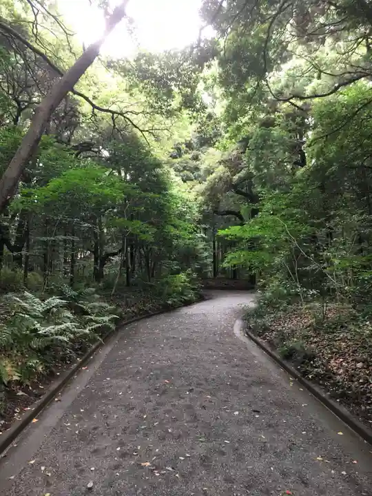 明治神宮の自然