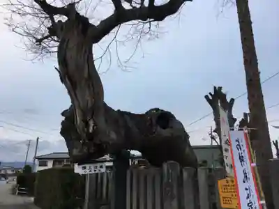 小内神社の自然