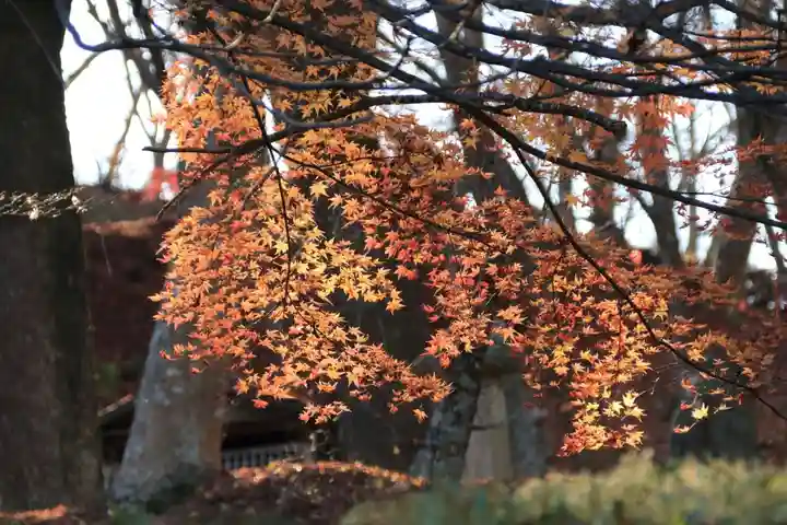 三春大神宮の自然