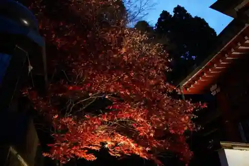 大山阿夫利神社のその他建物