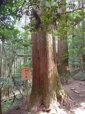 幣立神宮(熊本県)