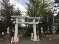 西岡八幡宮の鳥居
