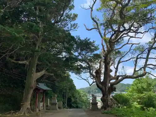 武内神社の景色