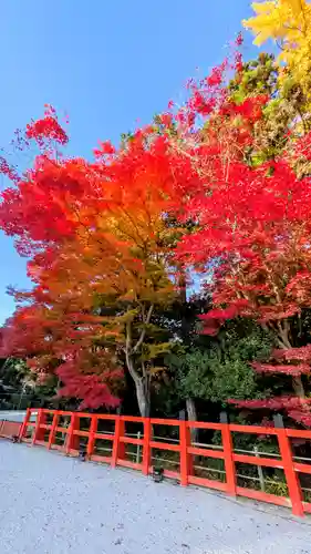 賀茂別雷神社（上賀茂神社）(京都府)