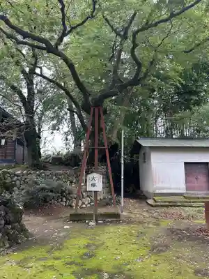 熊野神社(群馬県)