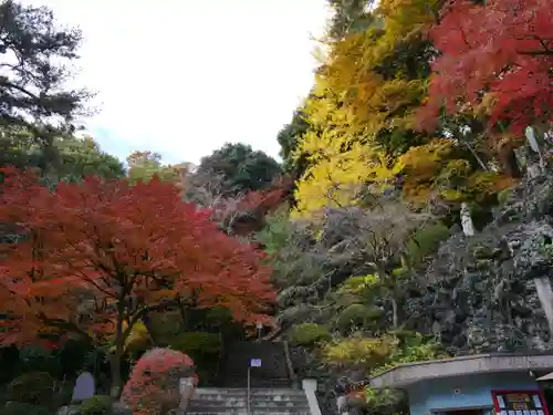 洞窟観音・徳明園・山徳記念館の景色