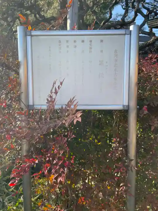 神宮寺の{uncategorized: "未分類", other: "その他", undefined: "問題あり", building: "その他建物", grave: "お墓", sacred_gate: "鳥居", guardian: "狛犬", statue: "像", buddha: "仏像", history: "歴史", nature: "自然", garden: "庭園", animal: "動物", pagoda: "塔", temizu: "手水舎", mountain_gate: "山門・神門", sanctuary: "本殿・本堂", subordinate: "末社・摂社", art: "芸術", scenery: "景色", jizo: "地蔵", ema: "絵馬", goshuin: "御朱印", omikuji: "おみくじ", items: "授与品その他", amulet: "お守り", goshuincho: "御朱印帳", eats: "食事", festival: "お祭り", votive_dance: "神楽", shichigosan: "七五三参", wedding: "結婚式", experience: "体験その他", initially: "初詣", around: "周辺", anti_infection: "感染症対策"}