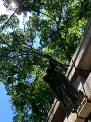 熊野神社のその他建物
