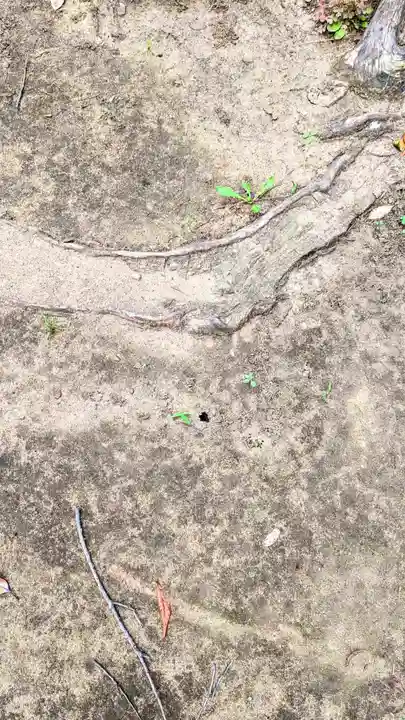 今井神社(千葉県)