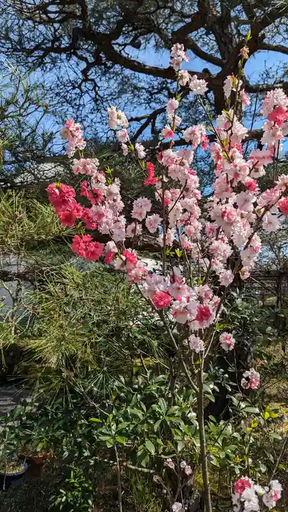 轉法輪寺(京都府)
