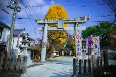 福島八幡宮(福岡県)