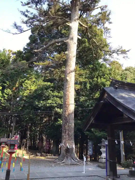 滑川神社 - 仕事と子どもの守り神(福島県)