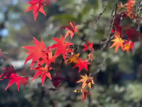 伊勢の国 四天王寺(三重県)