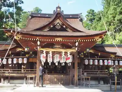 多賀大社の本殿・本堂