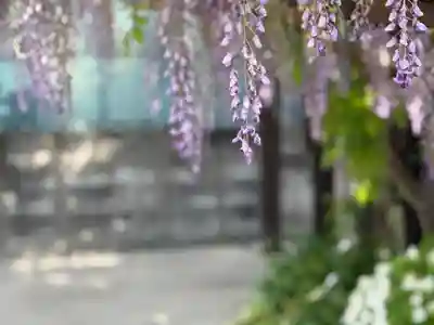西方山極楽寺(岐阜県)