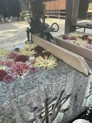 川越八幡宮(埼玉県)