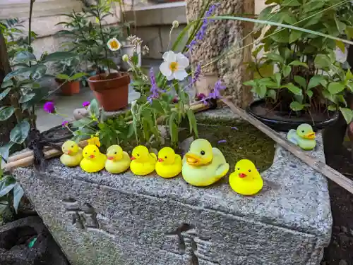 元祇園梛神社・隼神社(京都府)