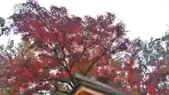 北野天満宮の庭園