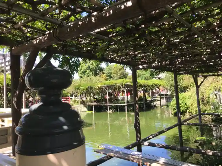 亀戸天神社の庭園