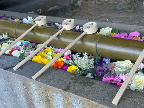 群馬県護国神社(群馬県)
