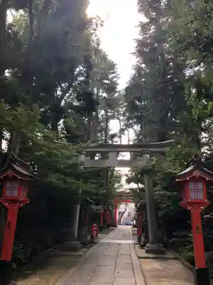 馬橋稲荷神社の鳥居