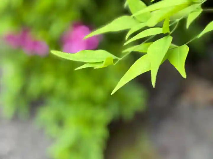 西方山極楽寺(岐阜県)