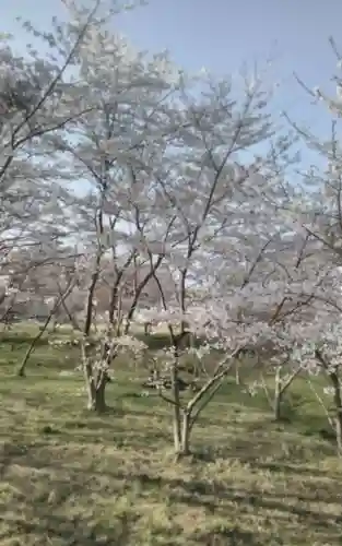 化女沼龍神(宮城県)