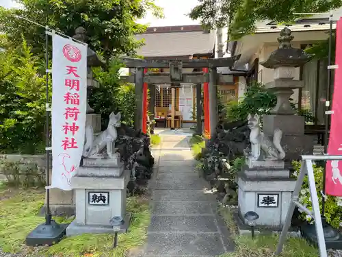 天明稲荷神社の狛犬