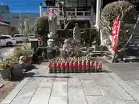 金仙寺(愛知県)