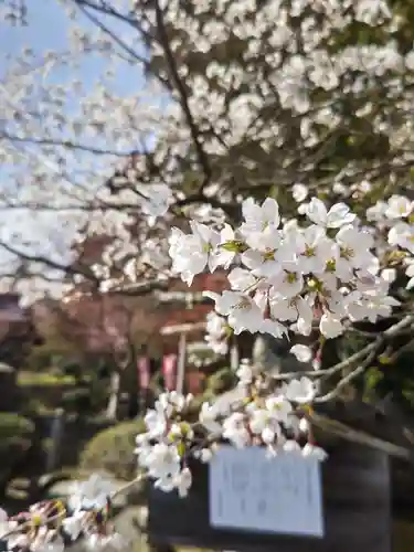 鹿島大神宮の自然