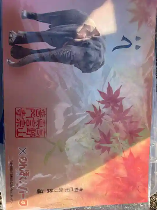 普門寺(切り絵御朱印発祥の寺)(愛知県)