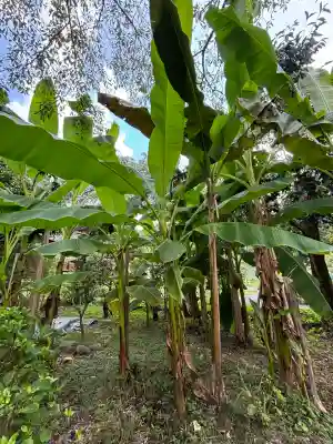 惠心院(京都府)