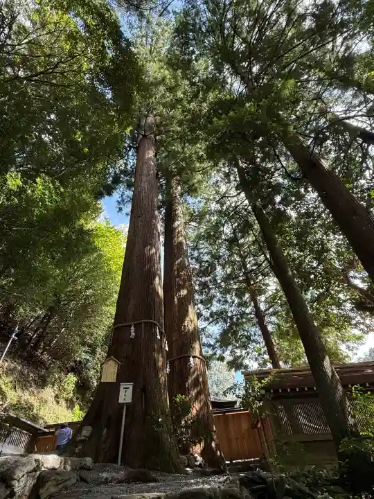 丹生川上神社(中社)(奈良県)