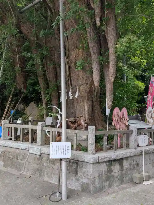 海南神社(神奈川県)