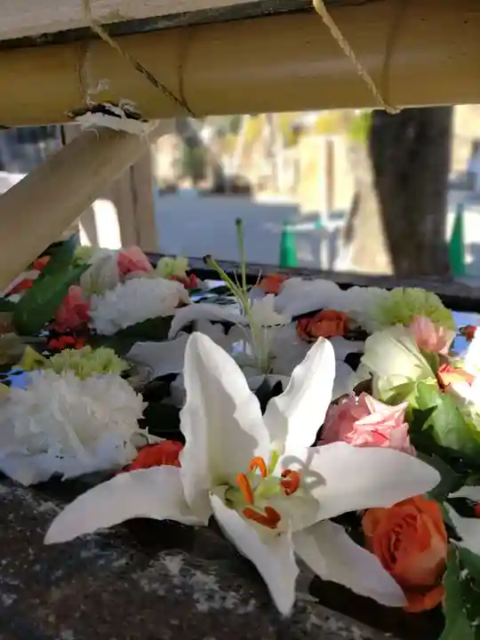 鳩森八幡神社の手水舎