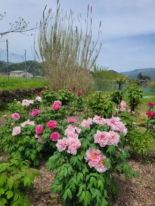 隆国寺(兵庫県)