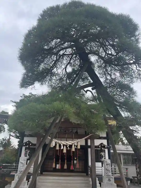 高靇神社(千葉県)