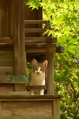 城上神社(島根県)