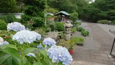 真言宗神道派大本山 宝珠院の自然