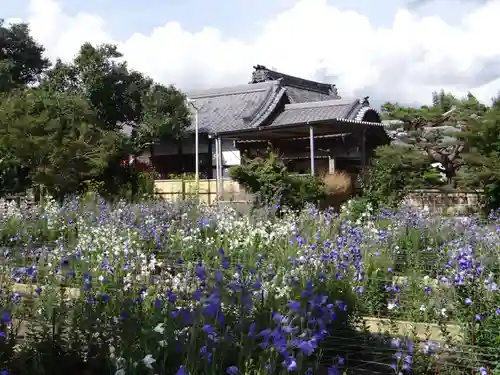 香勝寺(静岡県)