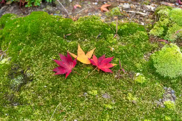 大原野神社(京都府)