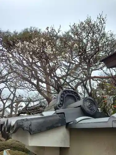 薬師院(神奈川県)