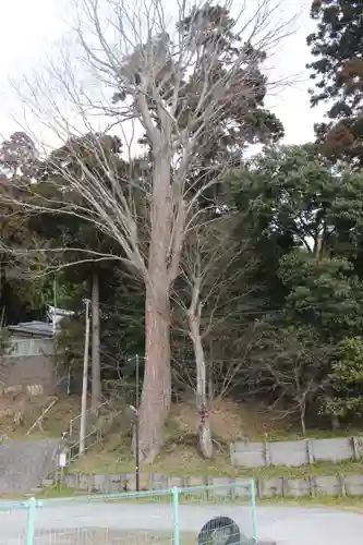 田間神社の自然