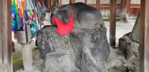 牛嶋神社の体験その他