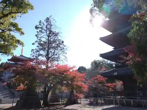 八事山 興正寺(愛知県)